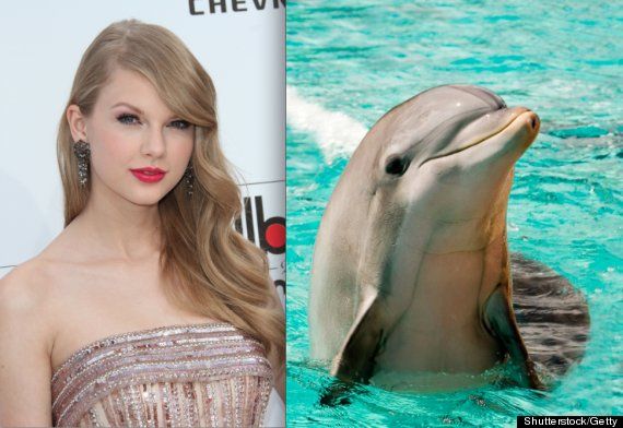 Taylor Swift's 73 questions by Vogue provides an intriguing insight into America's Sweetheart.