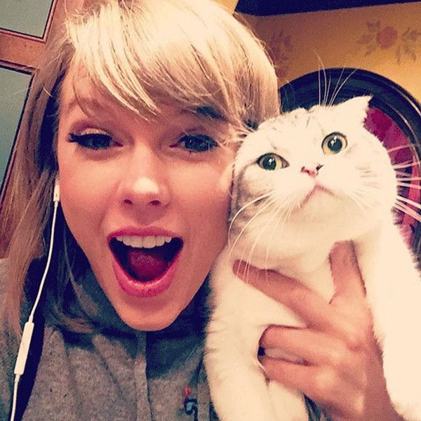 Taylor Swift's 73 questions by Vogue provides an intriguing insight into America's Sweetheart.